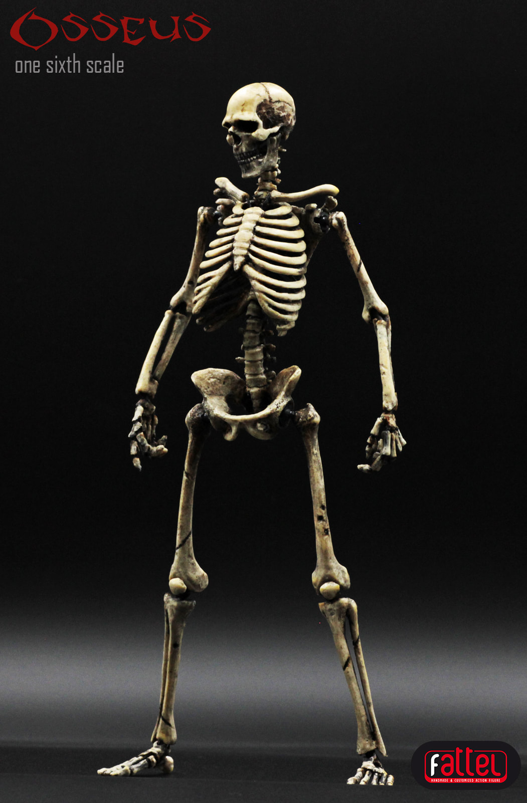 action figure skeleton 1/6 by fattel - fattel -hand made & customized action  figures- Original figures of 30 cm in 16 scale of the human skeleton, with  over 70 points of articulation